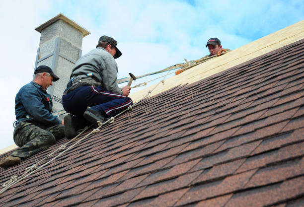 Roof Gutter Cleaning in Cambridge, NE